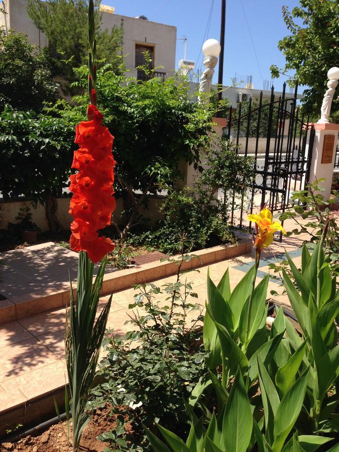 Palmira Apartments Makriyialos Bagian luar foto